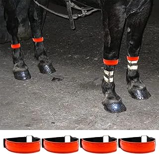 PUMEXFE 4PCS LED Illuminated Riding Boots Horse Bell Boots USB Rechargeable Reflective Riding Boots Night Riding Running Sports Warning Light (Orange)