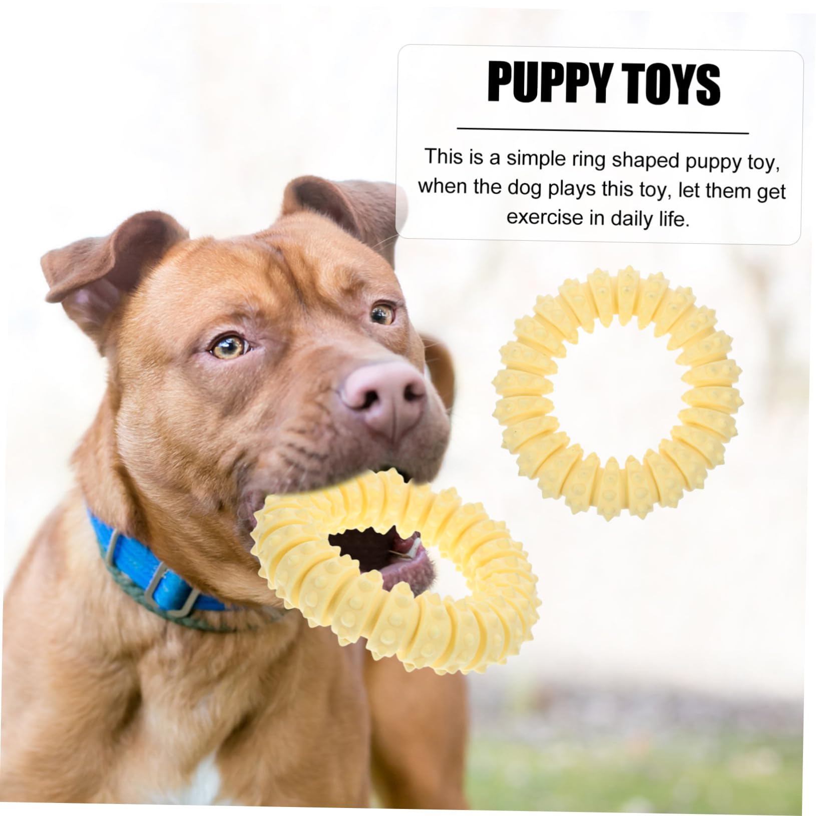 INOOMP 3pezzi Giocattolo Da Masticare Per Cani Anello Morbido Per Cuccioli Stimola Gioco e Crescita Sana Attività Intelligente Giocattolo Indistruttibile Per Teething e Snack