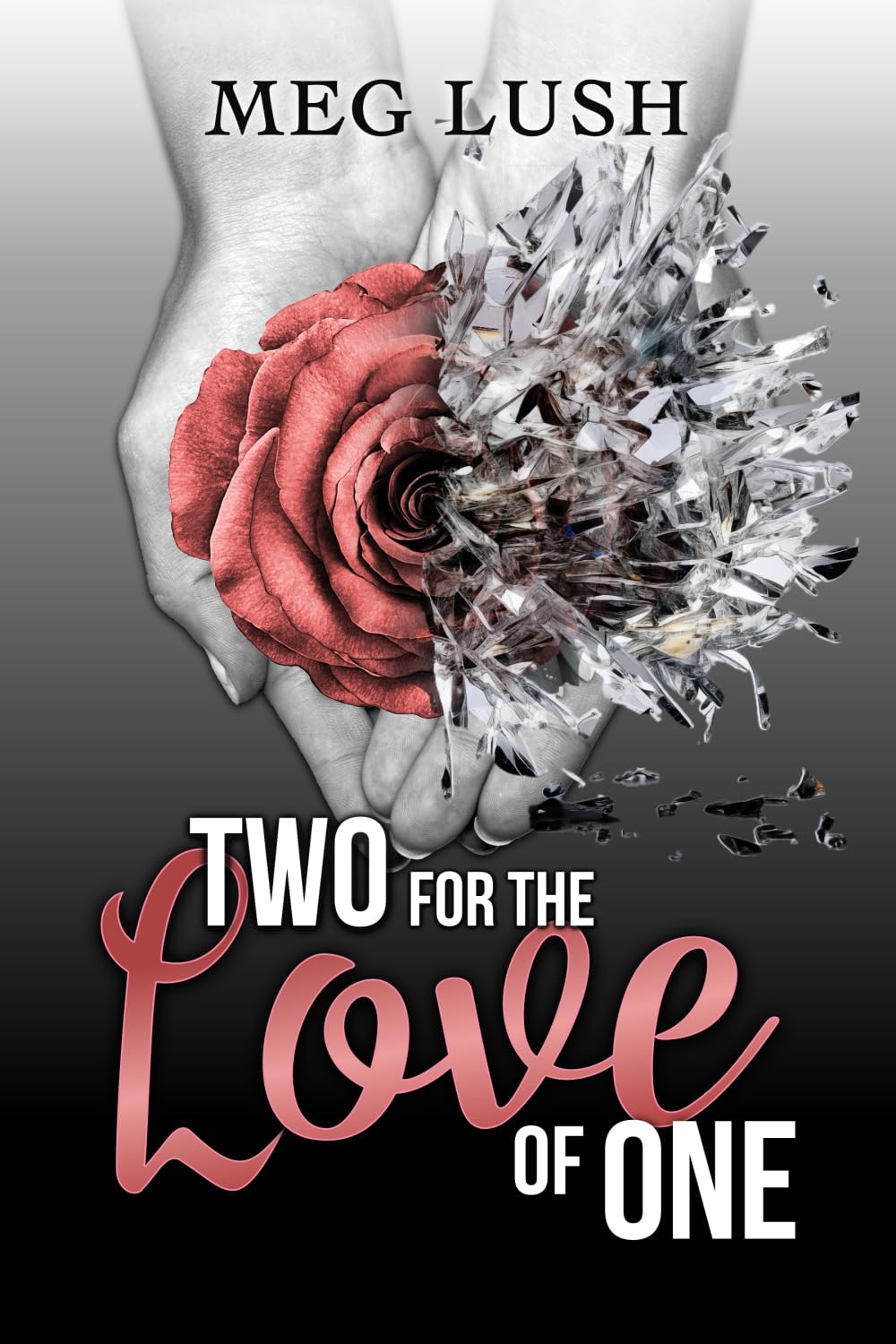 Two For The Love of One: Lush, Meg: 9781738291007: Amazon.com: Books