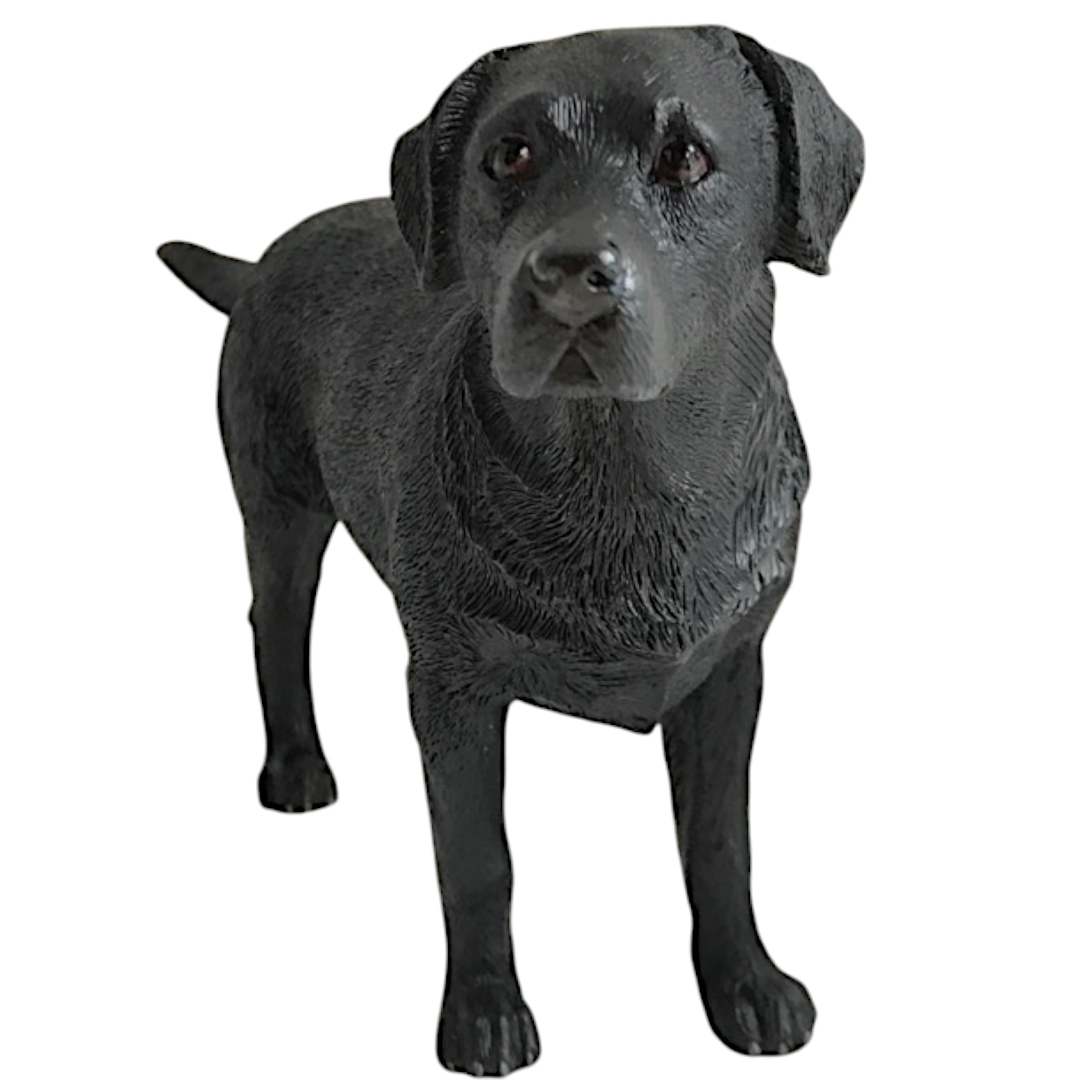 Animal Crackers Realistic standing Black Labrador Dog figurine from the Dog Studies range, in coloured gift box, great dog lover collectible gift — image 1