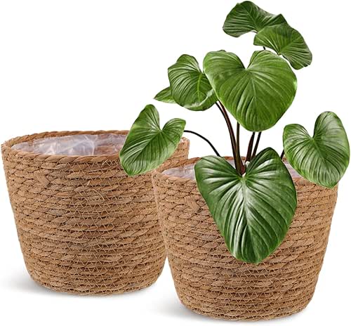 Healifty Woven Plant Baskets with Liner: 2Pcs Round Wicker Seagrass
