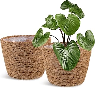Healifty Straw Woven Plant Basket 2PCS Rattan Flower Basket Indoor with Plastic Liner Natural Stylish for Rustic Boho Home Farmhouse Floor Potted Pots Decor