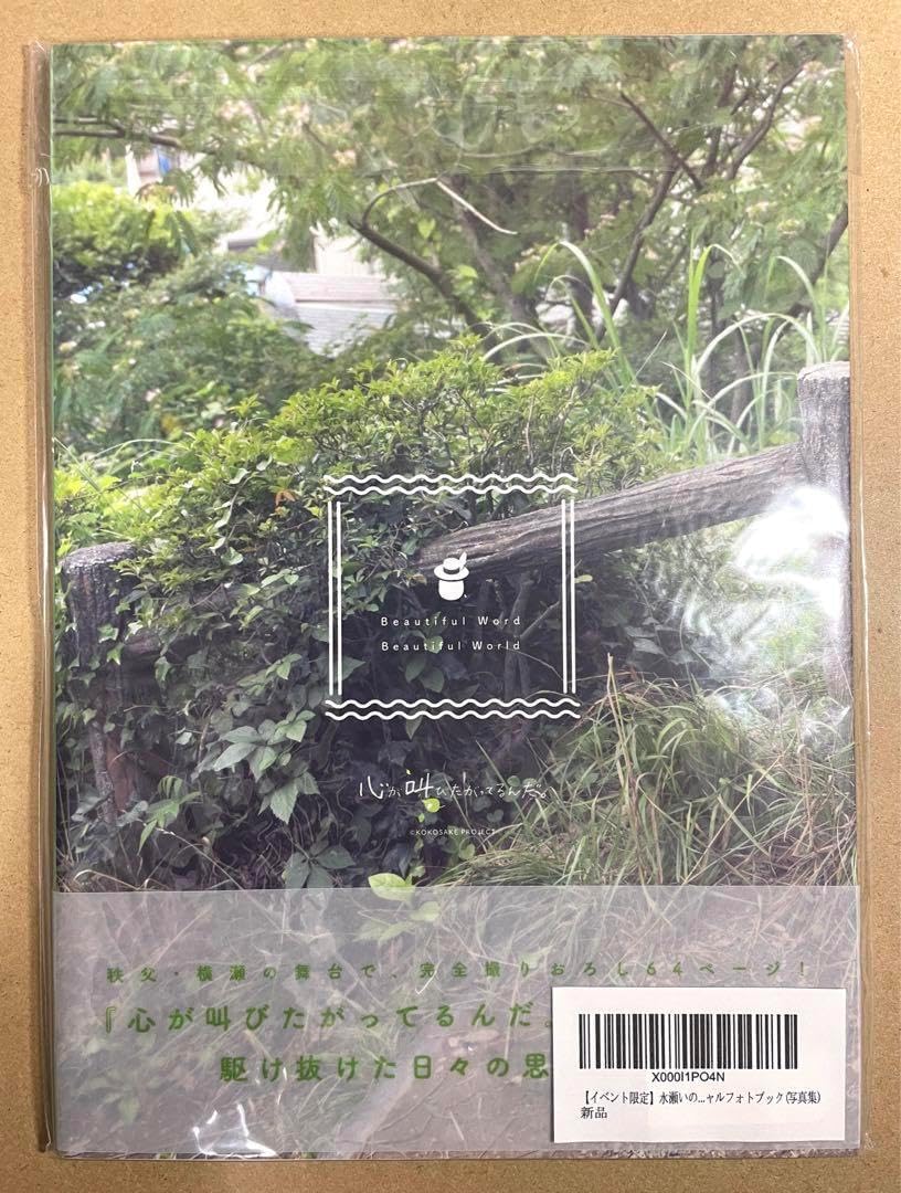 P1-ZXランプシェード。 スーパーハイスピードプーリー&ランププレート