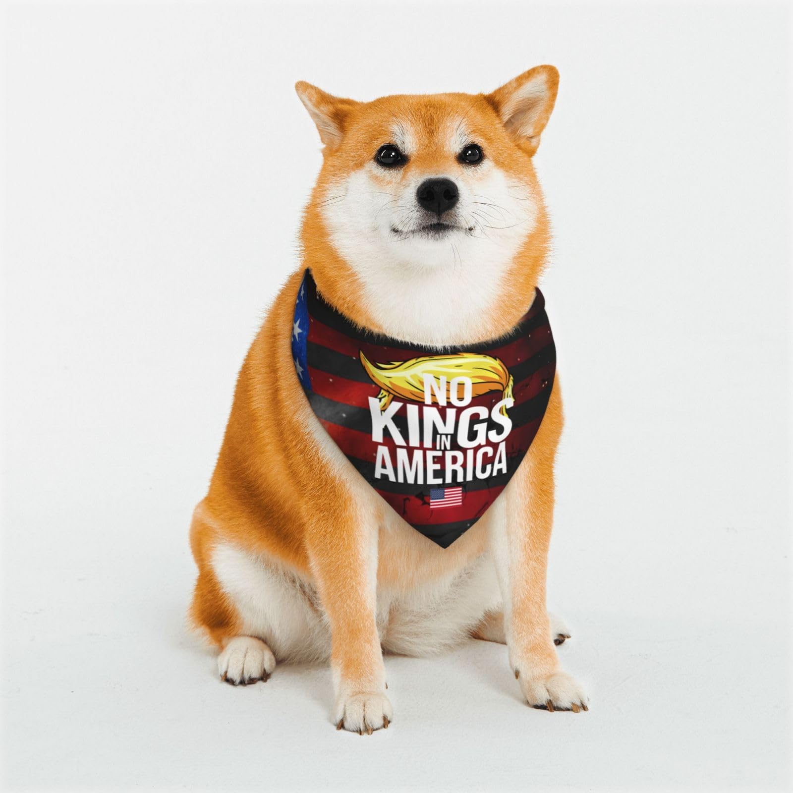 No King in America Dog Bandana Pet Bandanas Dogs Scarf Washable Pet Neckerchief Triangle Dog Bibs Puppy Kerchief