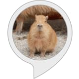 カピバラ動物園