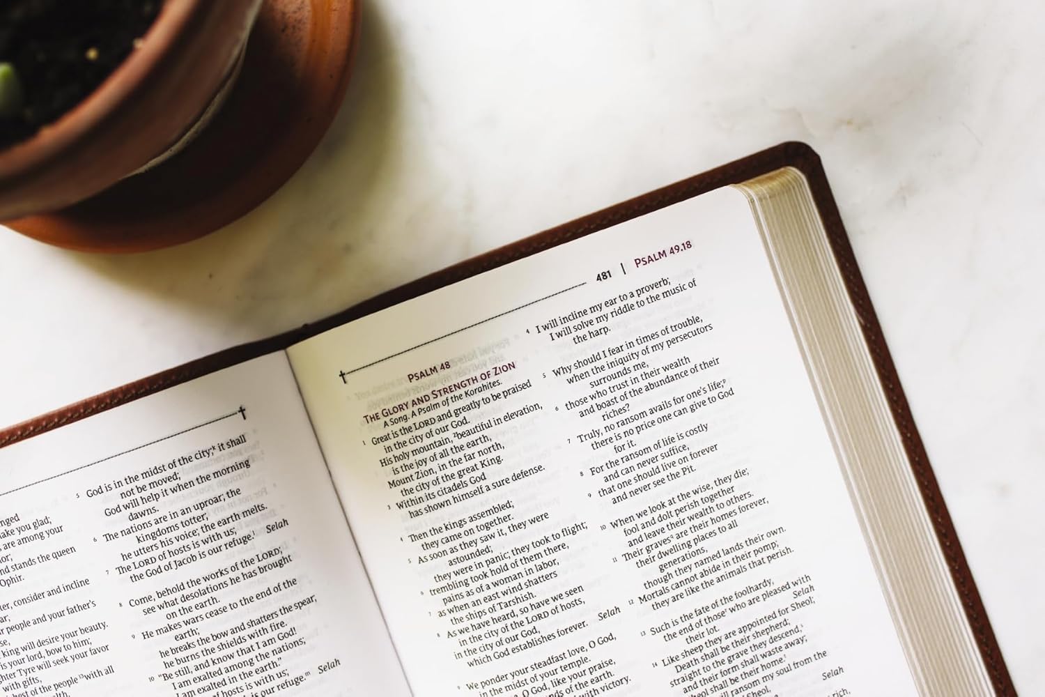 NRSVue, Holy Bible with Apocrypha, Compact, Leathersoft, Brown, Comfort Print