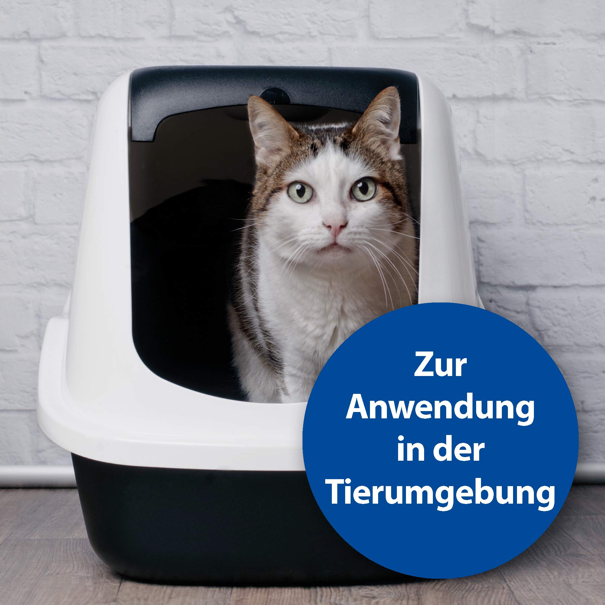 Quiko Bactazol Desinfektionsmittel, Rundum-Hygiene mit 3-fach Wirkung: desinfiziert, reinigt, desodoriert, 250 ml