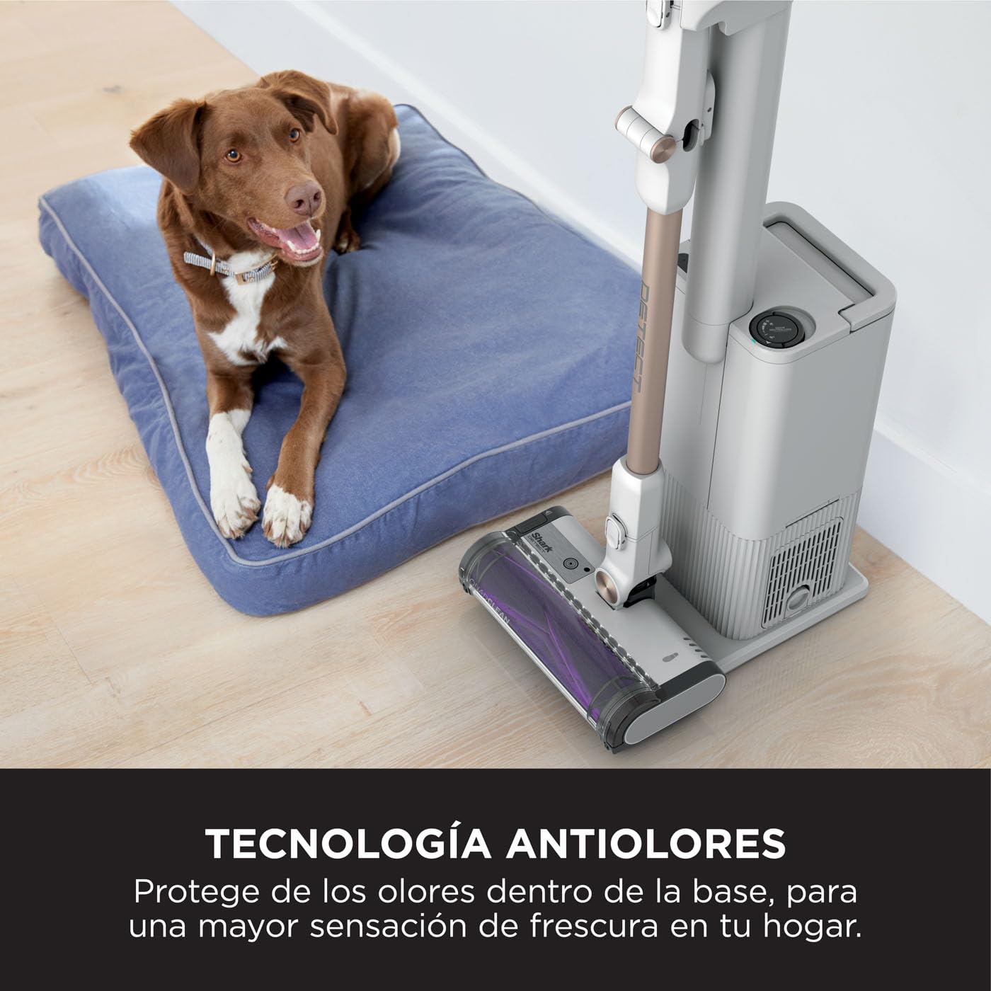 Shark Detect Clean & Empty Aspiradora sin cable y sin bolsa, tecnología Dirt Detect y base de autovaciado de 2 l, 60 min. de autonomía, Anti Hair Wrap y boquilla estrecha y cepillo, blanco, IW3612EU