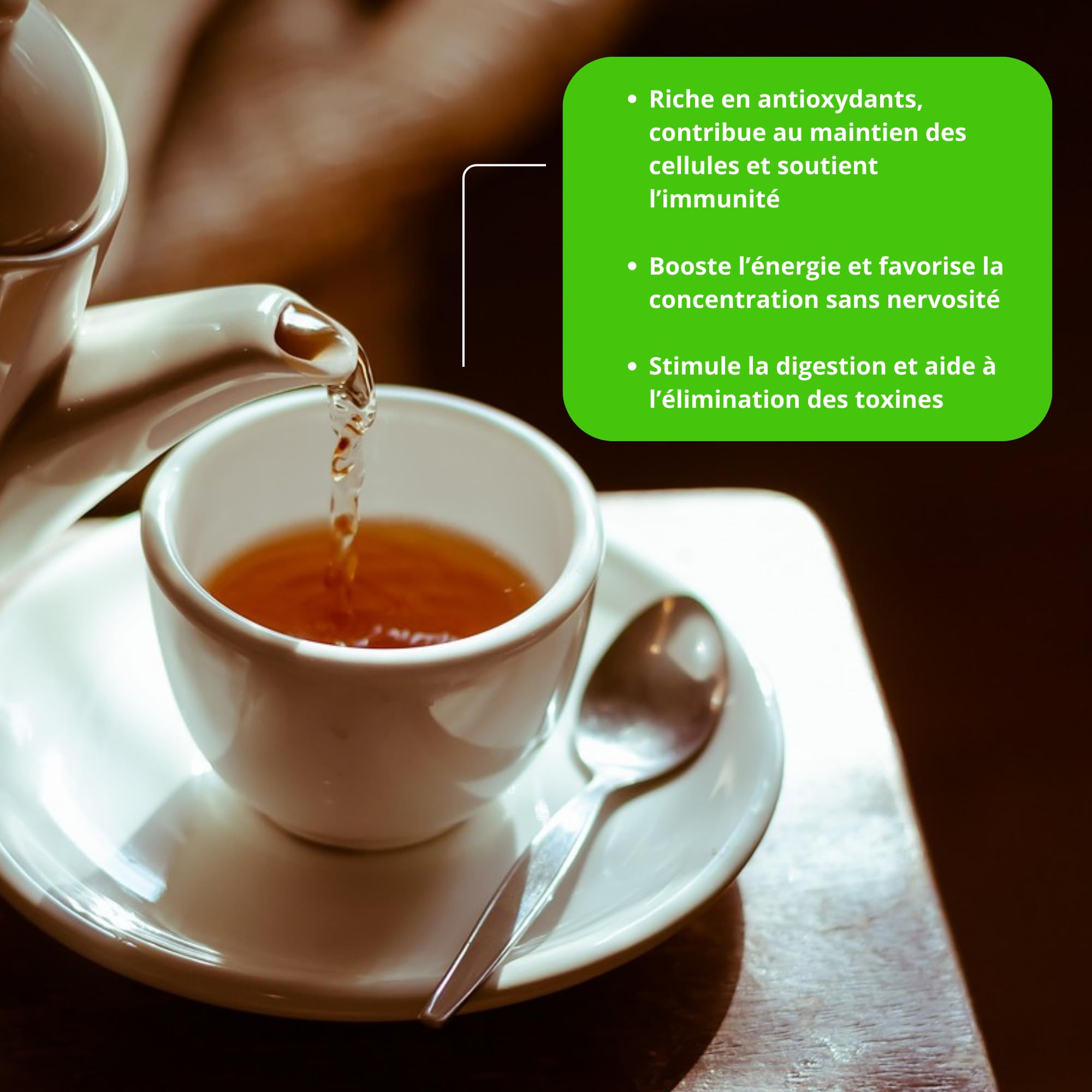 Tè Verde biologico aromatizzato Menta Marrakesch - 100g (40 tazze) - Tè sfuso 100% agricoltura biologica - Mes-Tè