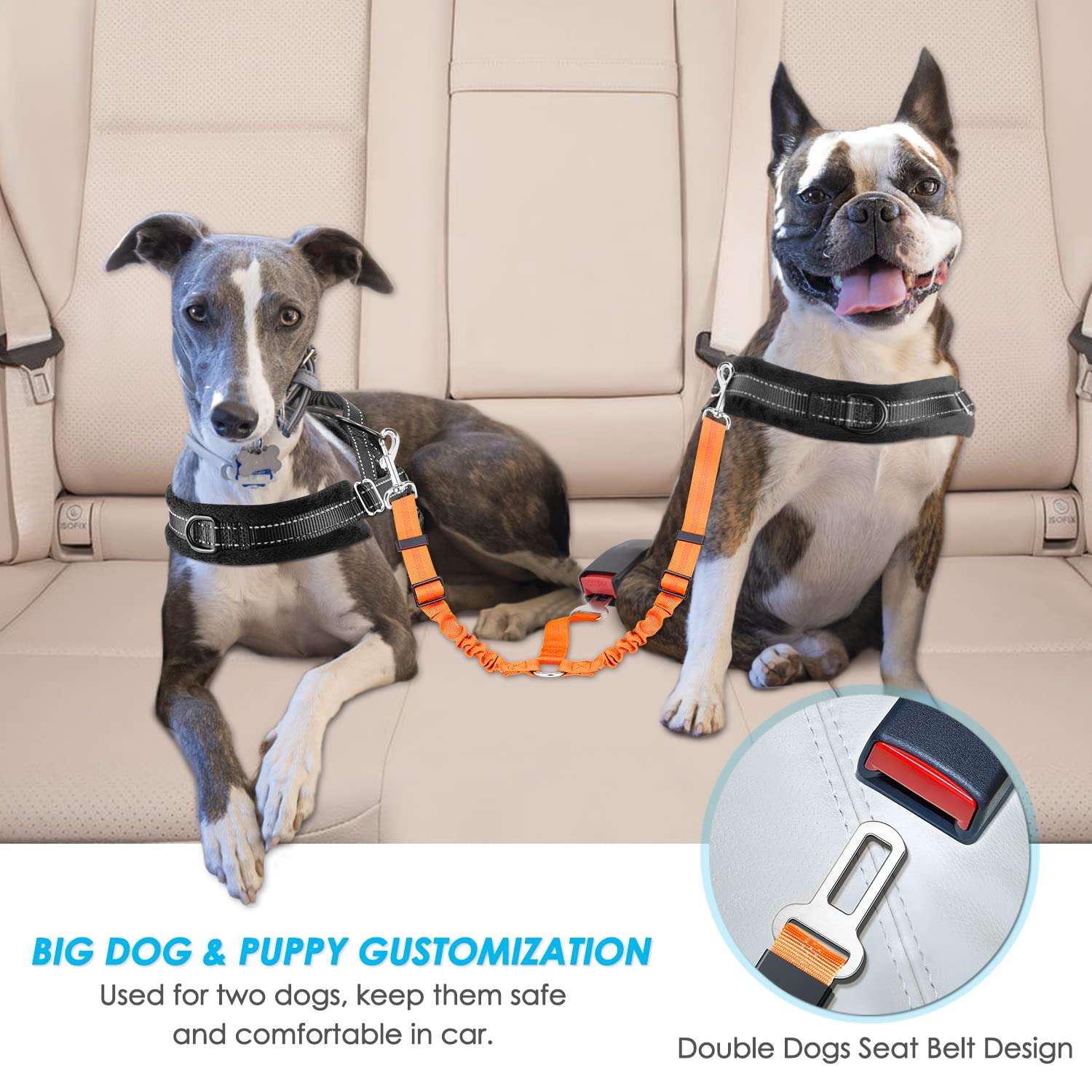 Cinturón De Seguridad Para Mascotas En Coche - Pack De 2, Elástico Y Acolchado, Ajustable De 22 A 34 Pulgadas, Con Mosquetón