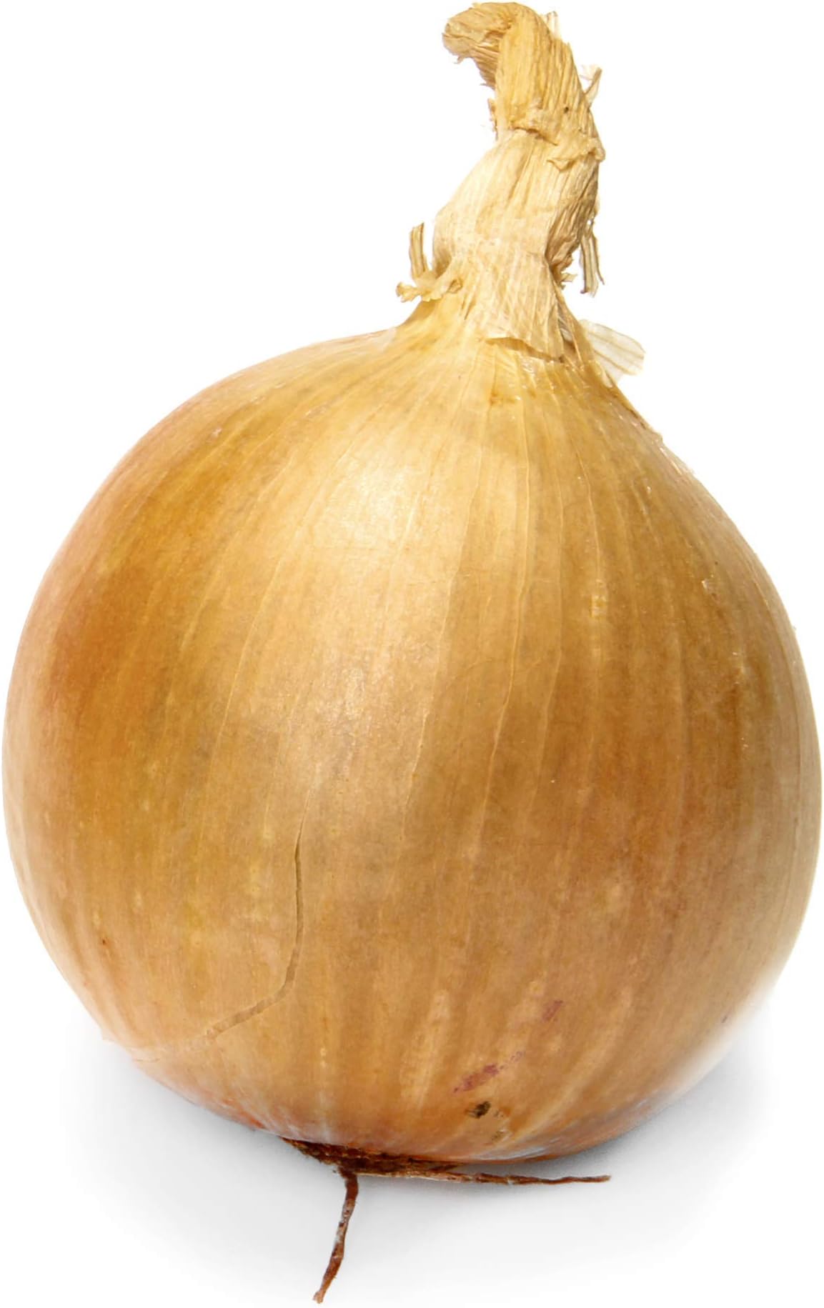 Organic Yellow Onion, 1 Each