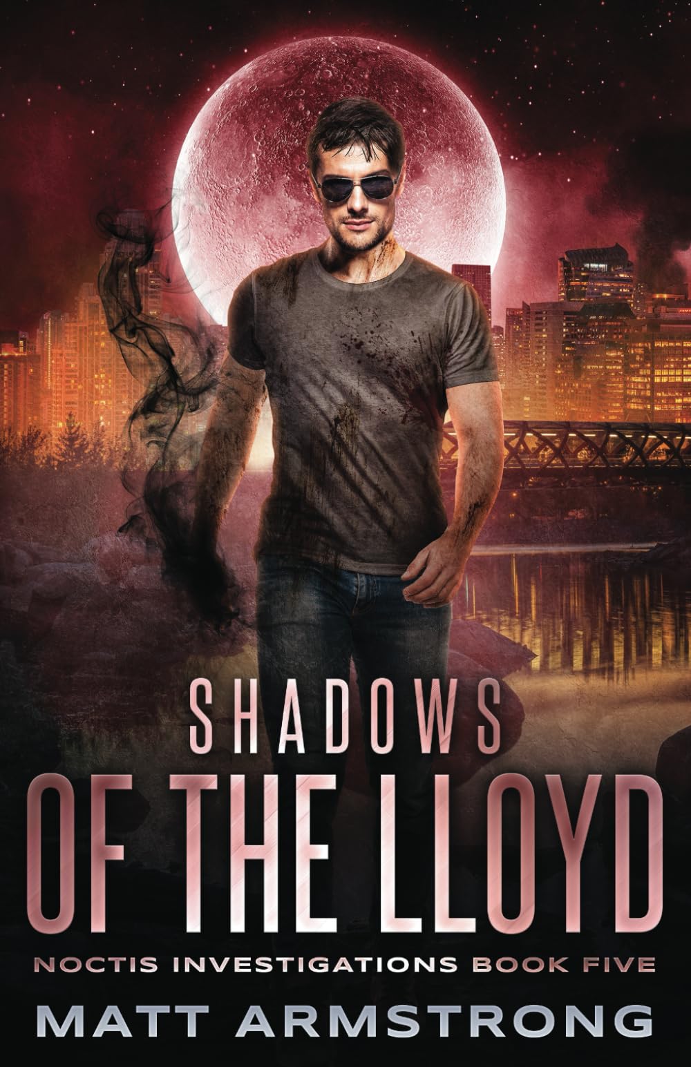 Book cover for Noctis Investigations series