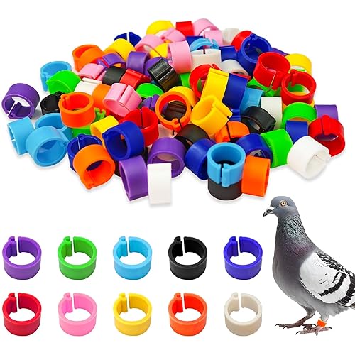 200 Pcs 8mm Chicken Leg Bands for Coturnix Quail,Baby Chicks and Pigeons,Color Poultry Identification Rings for Bantam Finch Dove Lovebird