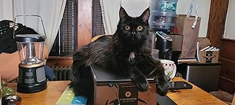 Review Image by Tina Sypek D'Amato Tina Sypek D'Amato