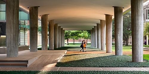 Miniatura 3 de Hierba mondo enana  72 plantas vivas  Ophiopogon Japonicus Nanus  Cubierta de suelo de hoja perenne amante de la sombra