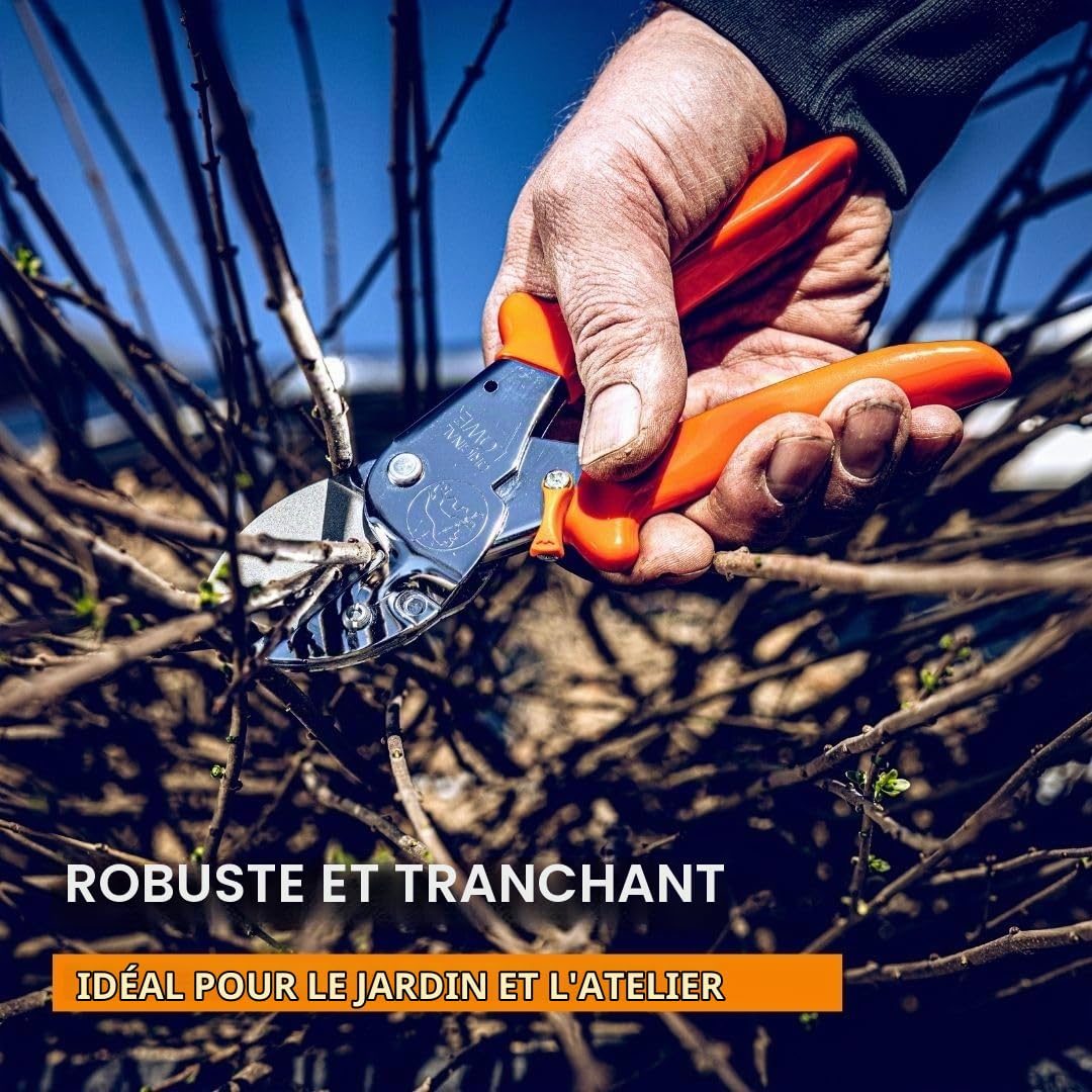 Loewe 1104 Sécateur à enclume Pour grandes mains (Import Allemagne)