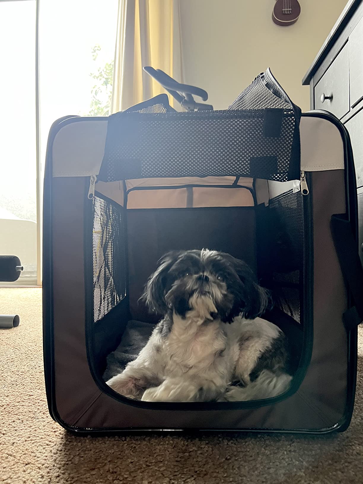A closer look at Crate Cover For Small Puppy