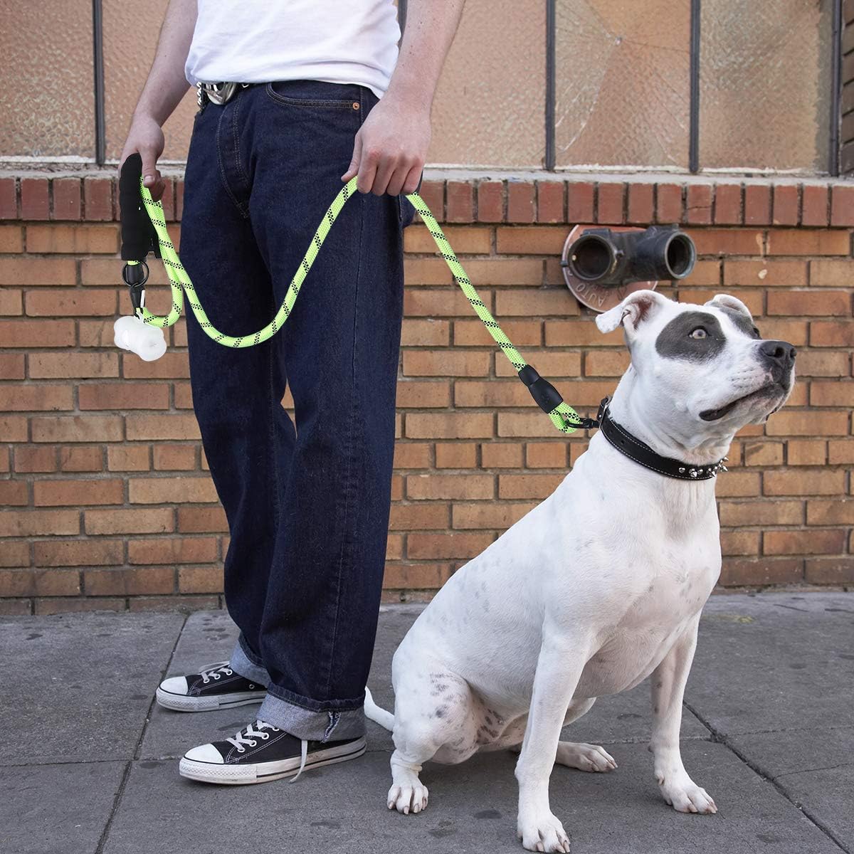 Bolux 5ft Strong Dog Leash with Comfortable Padded Handle, Highly Reflective Threads and Heavy Duty Training Durable Nylon Dog Leash for Medium Large Dogs