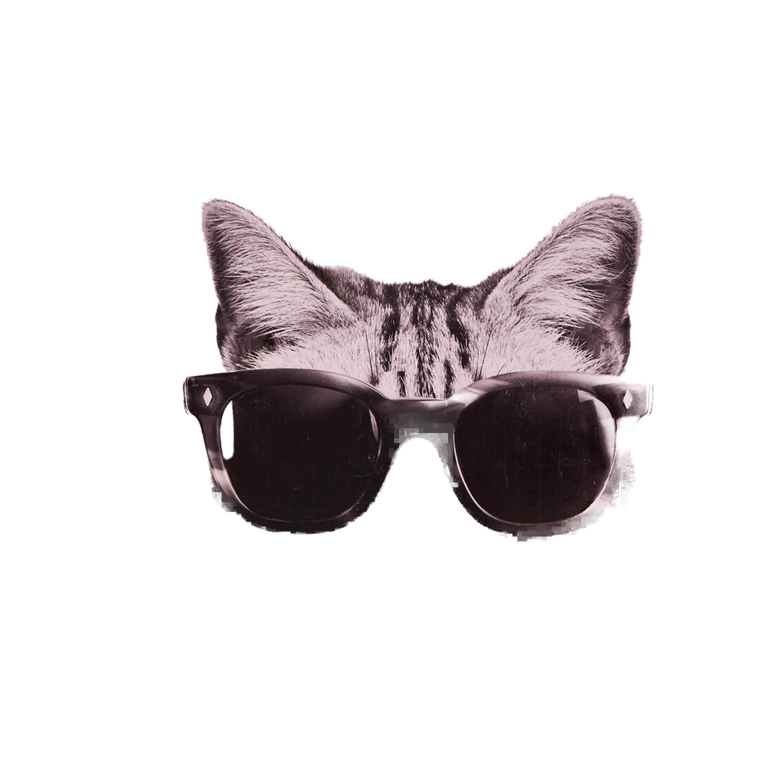 LINDOCAT BABY POWDER 5 L