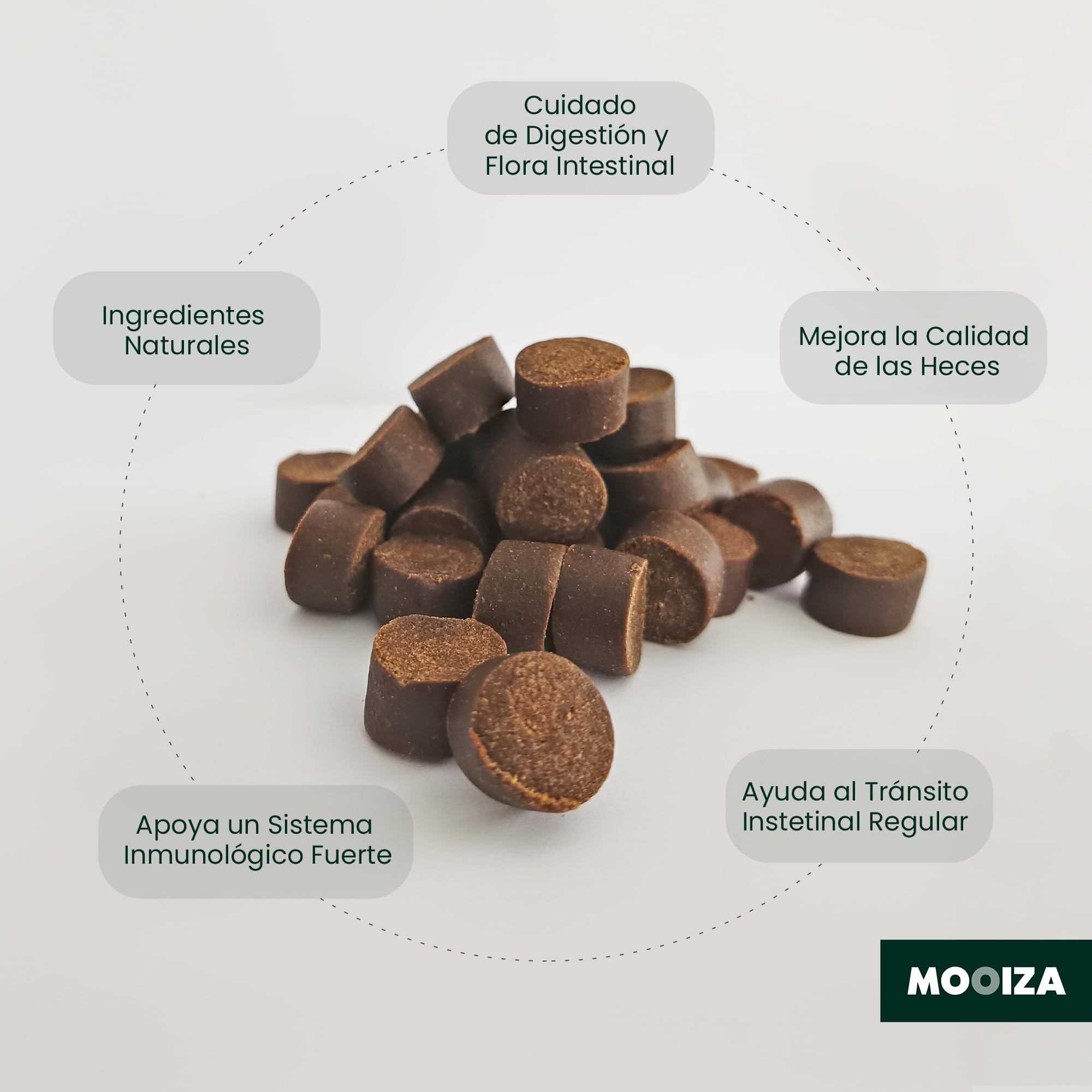 Prebiotici naturali per cani e gatti con Spirulina + Psyllium e carbone vegetale attivato - supporto flora intestinale - integratore nutrizionale per immunità digestiva in formato biscotti 300g |