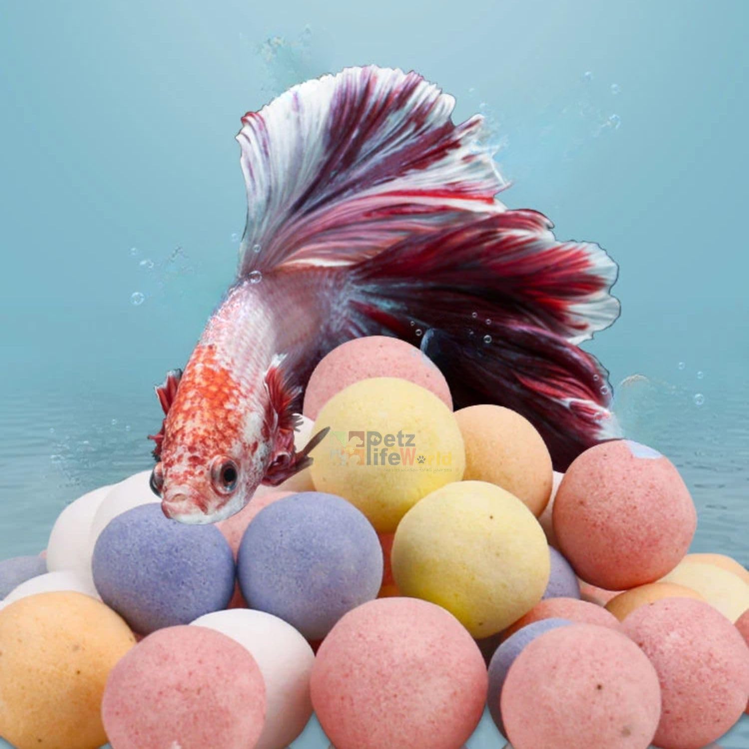 See full amazon price history chart for VAYINATO® 250G Aquarium Filter Media Ceramic Nano Color Bio Ball with Free Mesh Bag, Promote Healthy Bacteria Growth and Optimize Water Quality | Suitable for Various Filter by Petzlifeworld VAYINATO® 250G Aquarium Filter Media Ceramic Nano Color Bio Ball with Free Mesh Bag, Promote Healthy Bacteria Growth and Optimize Water Quality | Suitable for Various Filter by Petzlifeworld (B0CZRB1P1B) Amazon Price History, Amazon Price Tracker