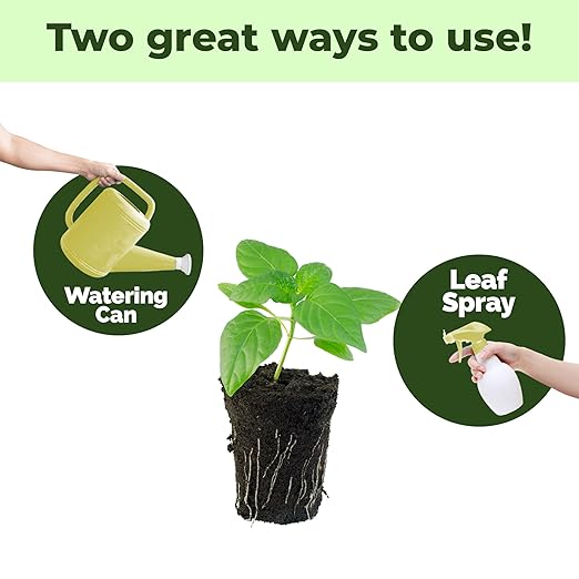 Transplant Fertilizer – Fertilizante Líquido para Trasplante, 8 oz miniatura 4