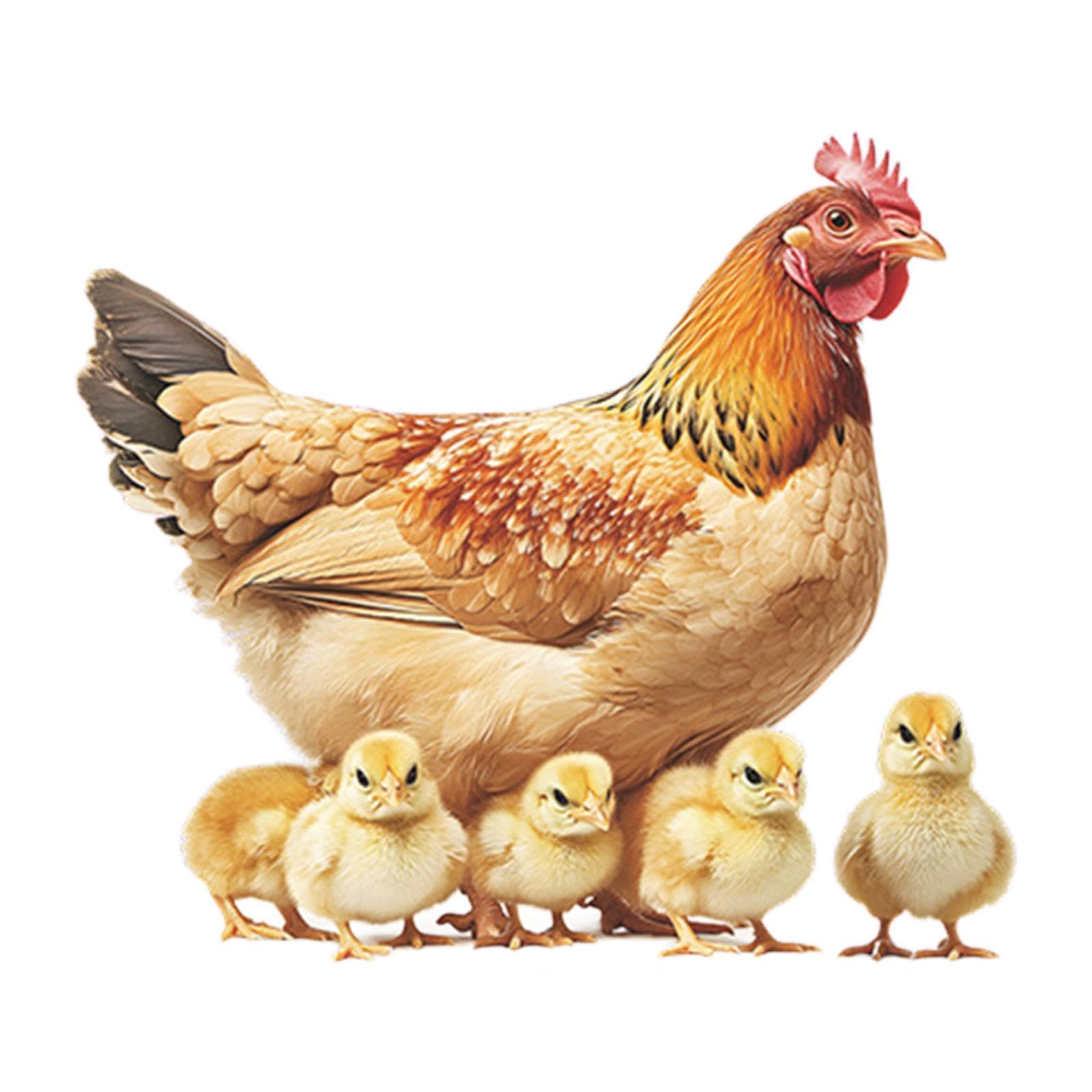 RNXRZANK Chicken Wall Sticker Chicken Waterproof for School Apartment Kitchen