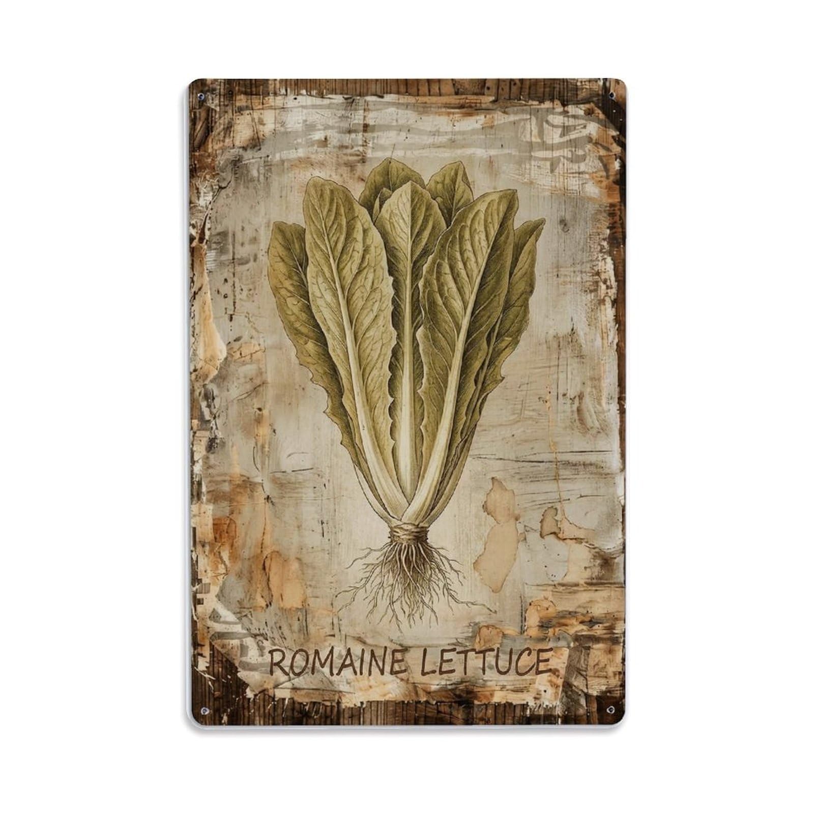 Fqnyr Style Romaine Lettuce Vegetable Metal Tin Sign Plaque Wall Decor For Cafe, Club Bar, Office, Home Garden Metal Poster 8X12inch