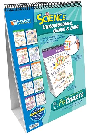 NewPath Learning Chromosomes, Genes & DNA Laminated, Double-Sided Write-On/Wipe-Off Flip Chart - Set of 10, 12" x 18" Charts 34-6727