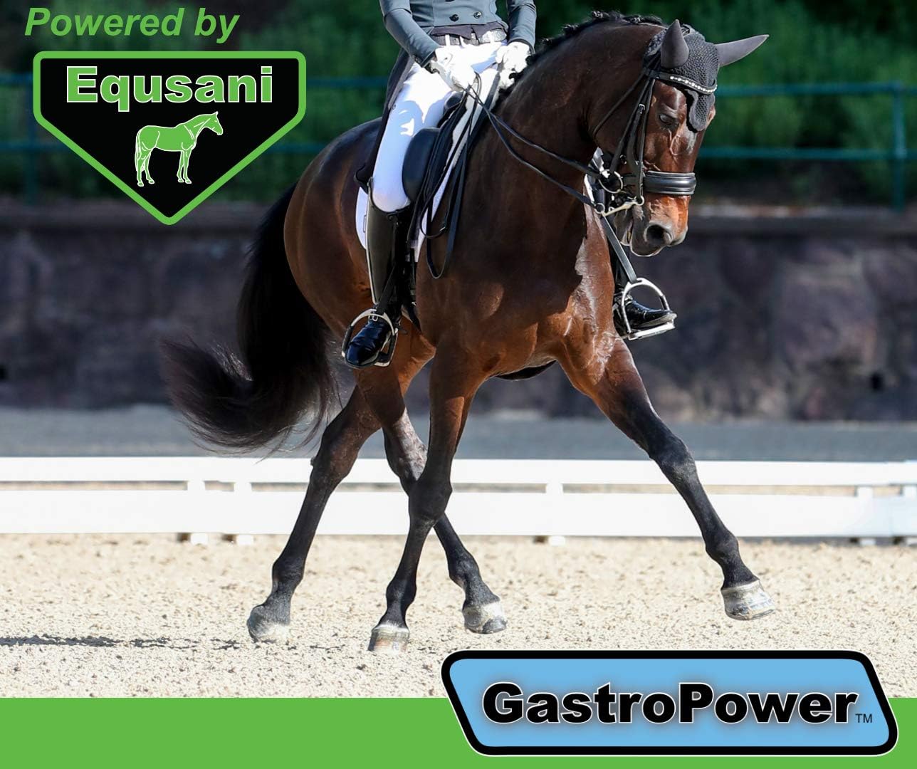 Equsani GastroPower Digestible Free Fatty Acid Feed Concentrate for Horses