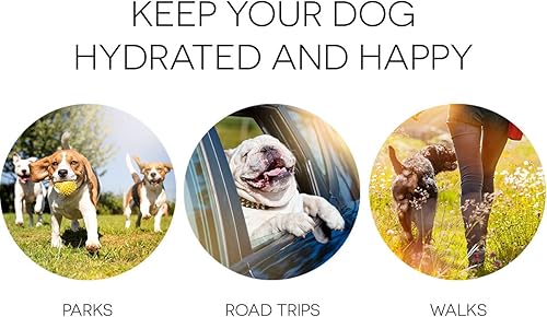 Miniatura 3 de MODGY Plato plegable para comida para perros, reutilizable, tamaño de viaje de plástico, contenedor portátil, camping, senderismo, automóvil, viaje