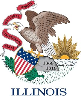 Gallopade Publishing Group Illinois Flag Sticker (9780635116451)
