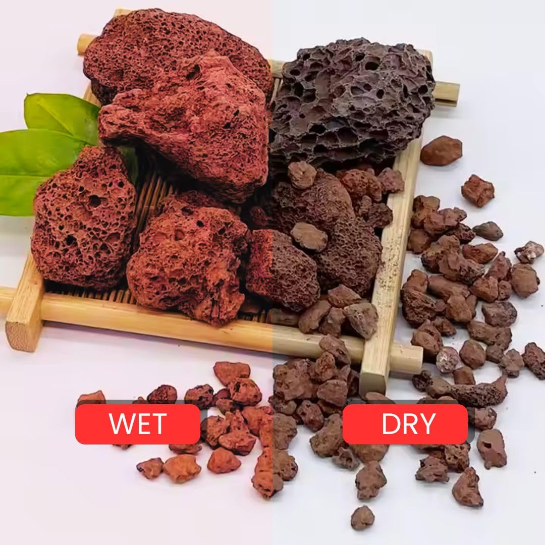 Red Lava Stone for Aquariums & Home Decor -5