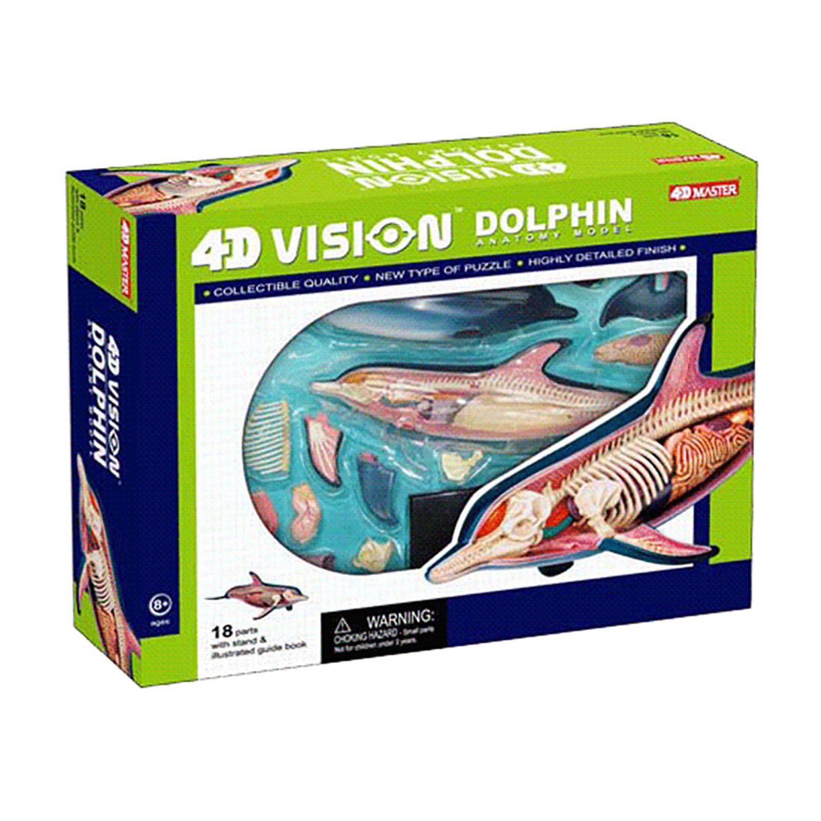 生き物・恐竜 4D VISION DOLPHIN Anatomy Model 4D Vision Dolphin Anatomy Model, Dolphin Skeleton Specimen Model