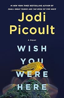 Wish You Were Here: A Novel
