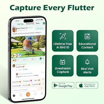 Smart Bird Feeder with Camera, Green