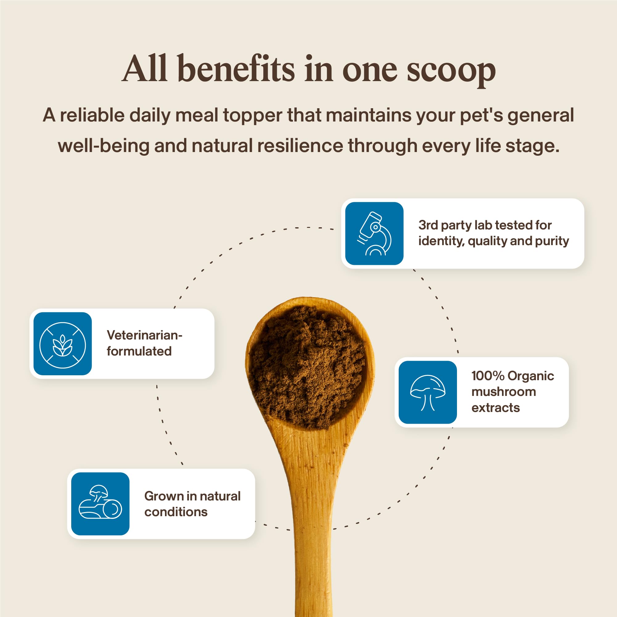 Real Mushrooms Whole Dog Health Powder Supplement, 2.65oz — Amazon image 8