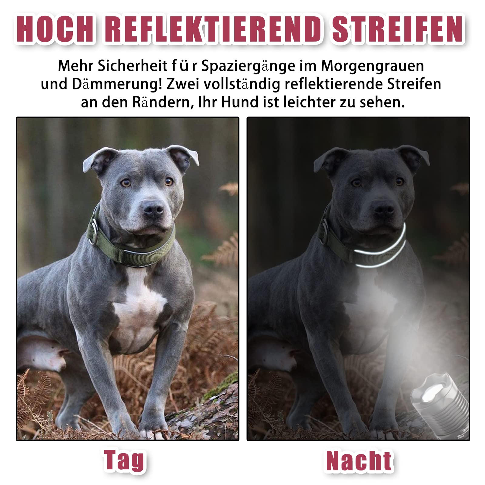 Weich Neopren Gepolstert Hundehalsband (4cm Breite) Reflektierend Hund Halsband mit Robust Nylon & Zugstopp, Bequem Zughalsband Dressurhalsband Kleine Mittlere Große Hunde Anti-Zug Walken M Wein