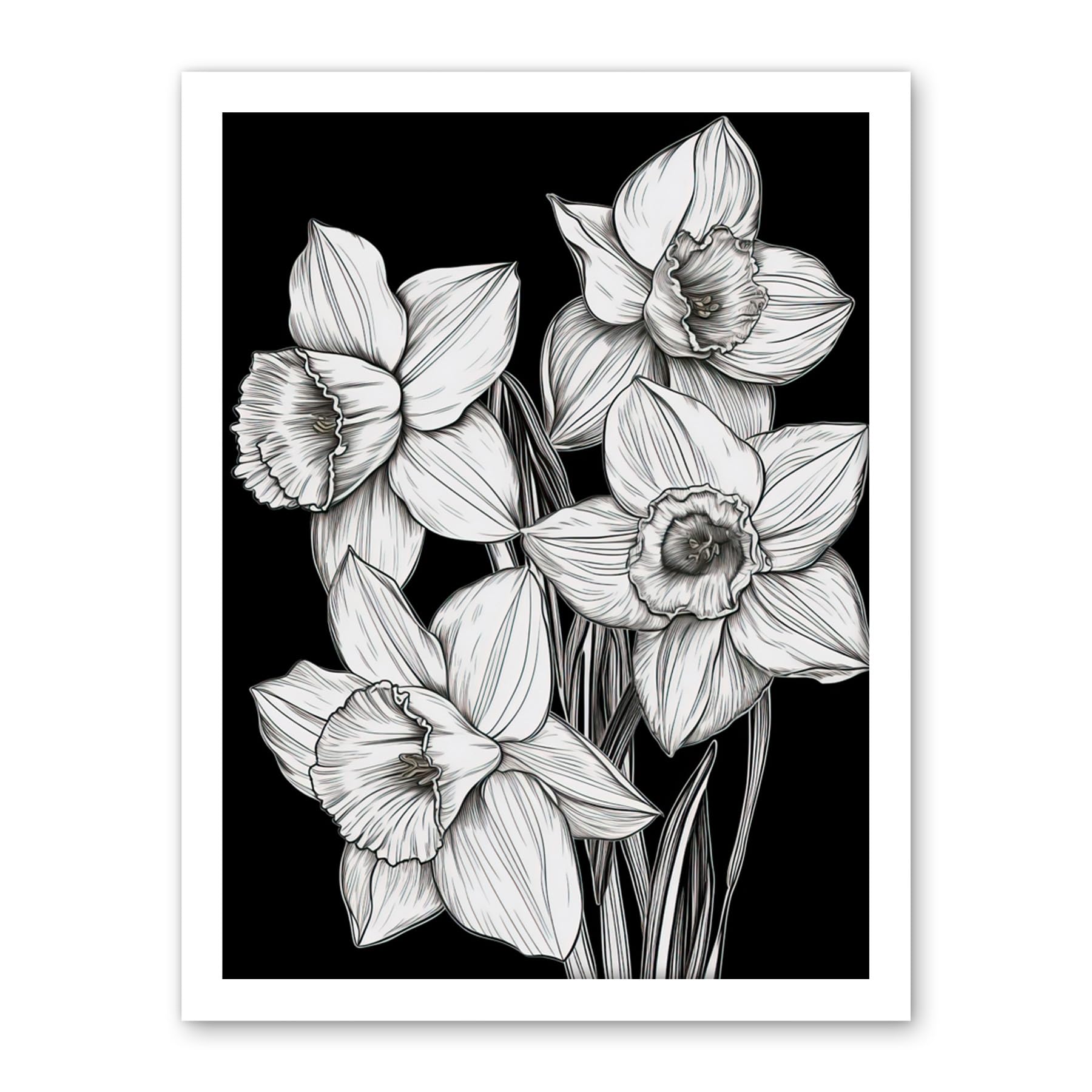 Artery8 Daffodil Wildflower Plant Blooms Black and White Artwork Framed Wall Art Print 18X24 Inch