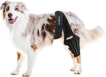 Dog Knee Brace for Back Leg,Cruciate Ligament Care Knee Brace for Dogs Rear Leg, Extral Support ACL Brace,Reduce Joint Pain and Muscle Sore for Hind Legs
