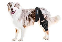Dog Knee Brace for Torn ACL Hind Leg, Rear Leg Braces for Dogs Luxating Patella, Metal Spring Strong Support and Flexible Joint Care, Easy to Put On and Off Dog Braces for Back Leg