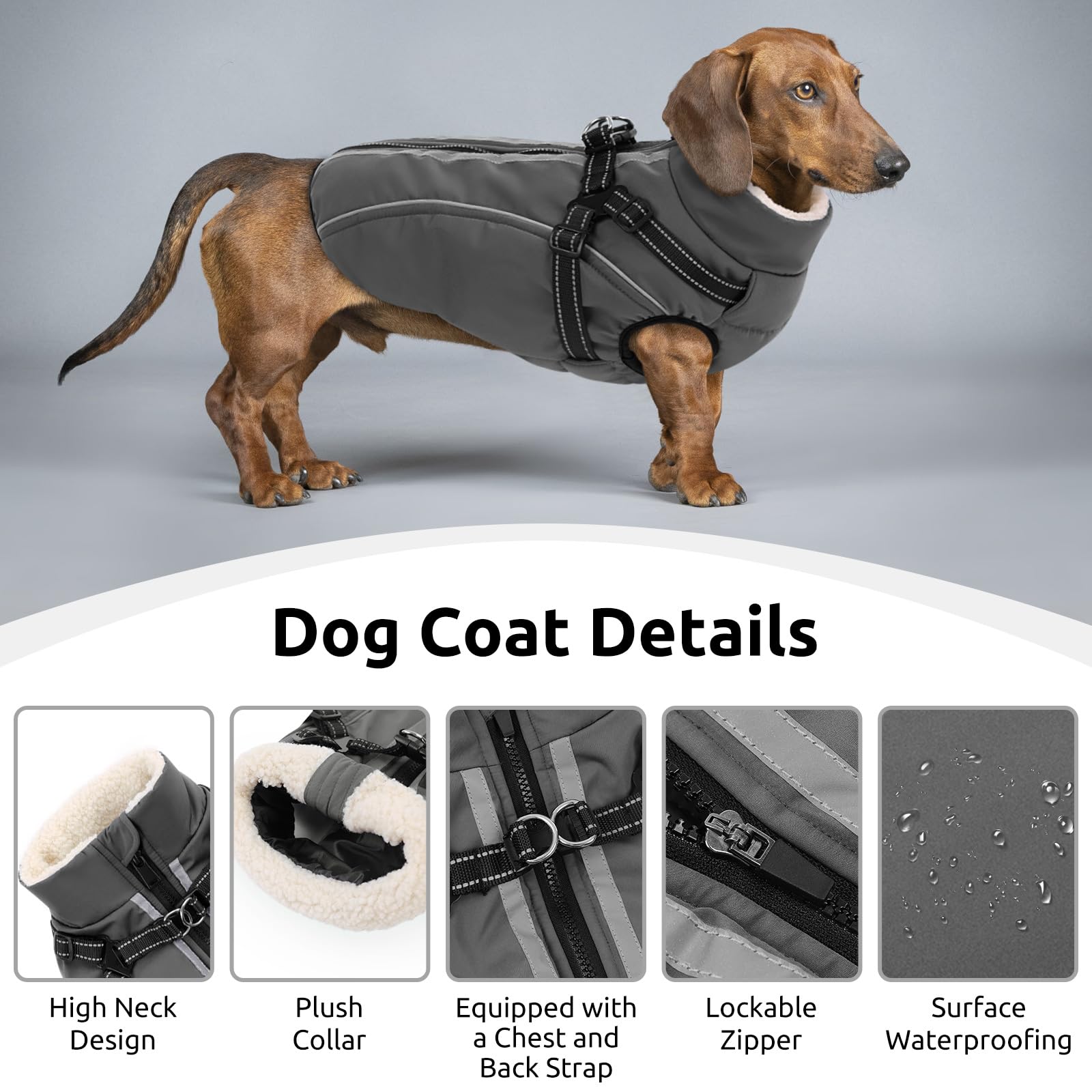 CITÉTOILE Hundemantel Hundejacke Warm Wintermantel mit Reißverschluss Winddichte & Winddichte mit Reflektorstreifen & Brustgurt für kleine Mittel Große Hunde Grau XL