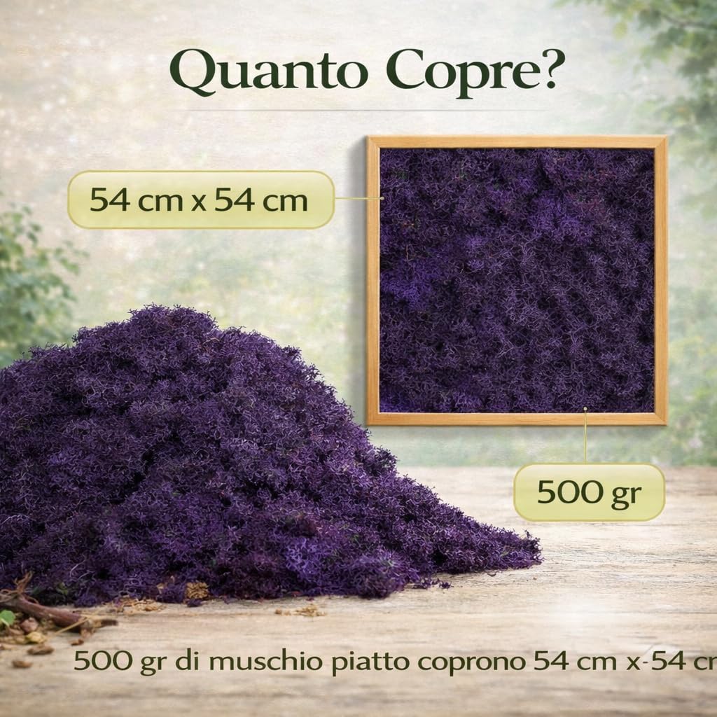 Lichene Stabilizzato Vero 100% Naturale, 500g - Muschio Scandinavo Conservato per Decorazioni - Ideale per Parete Verde, Terrario, Presepi, Modellismo e Composizioni Fai da Te (Blu Scuro, 500g)