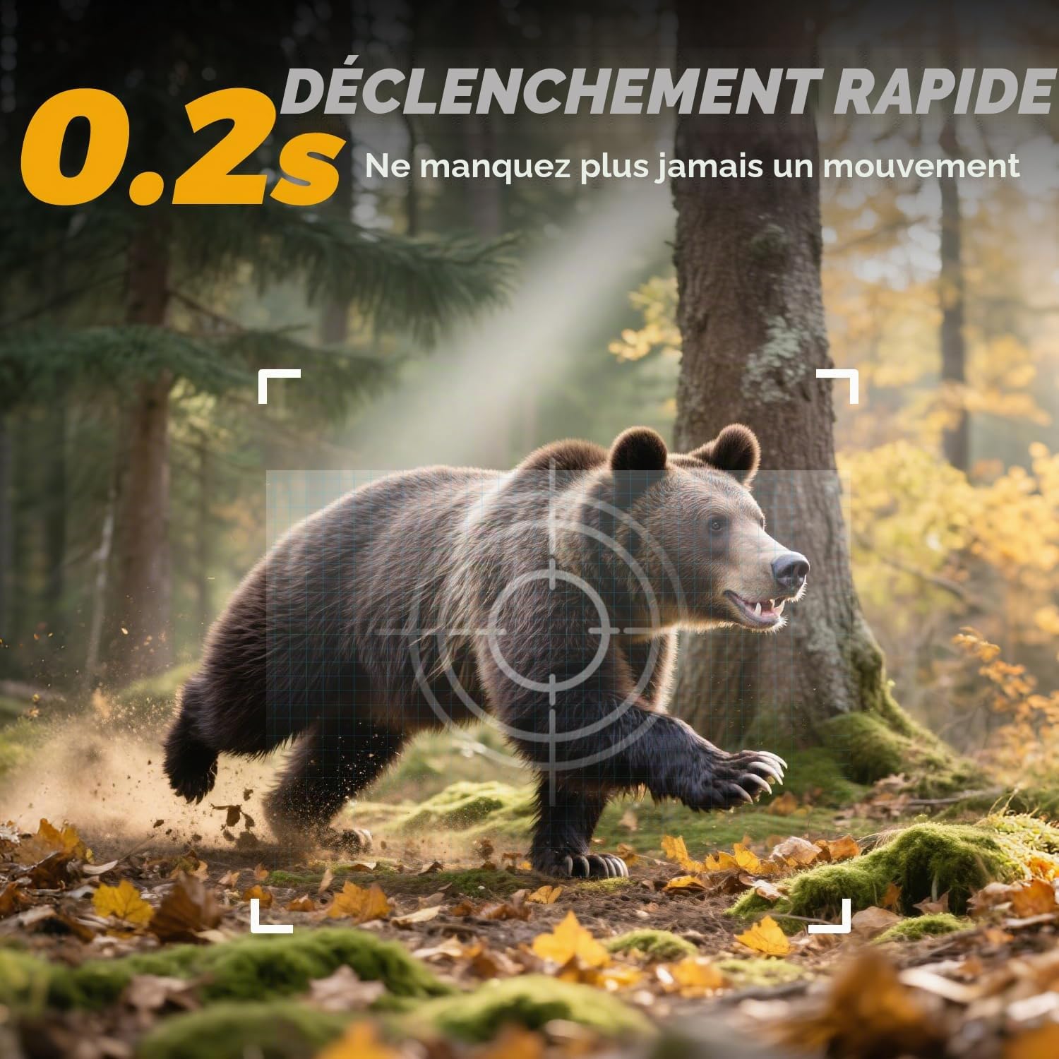CEYOMUR Caméra de randonnée 20 MP 1080p avec Carte SD 32 Go et 4 Piles LED infrarouges Vision Nocturne Activée par Mouvement et étanchéité IP66 pour Le scoutisme de la Nature