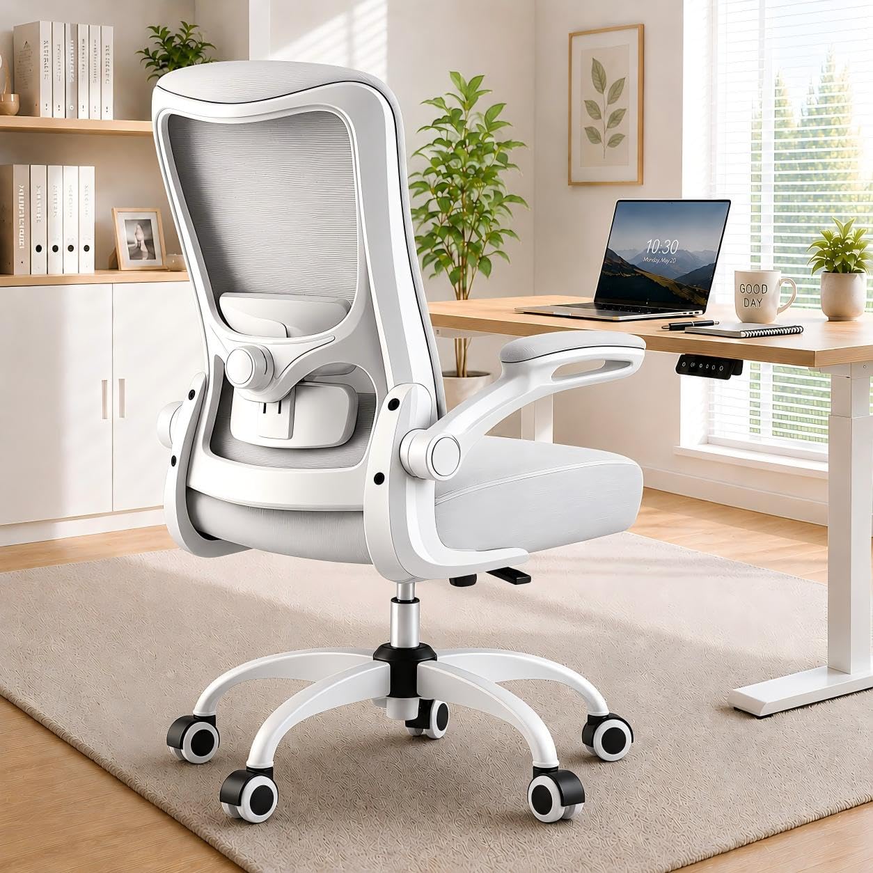 Zeonsit Ergonomic Office Chair White