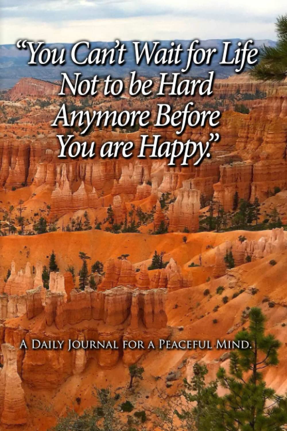 You Can’t Wait for Life Not to be Hard Anymore Before You are Happy A