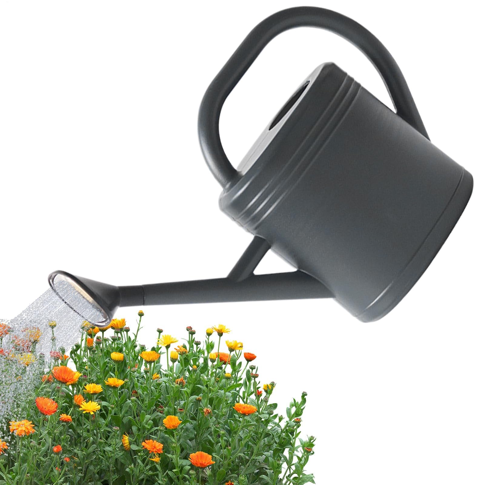 Arrosoir maison et jardin de 3L idéal pour nourrir vos fleurs et votre pelouse
