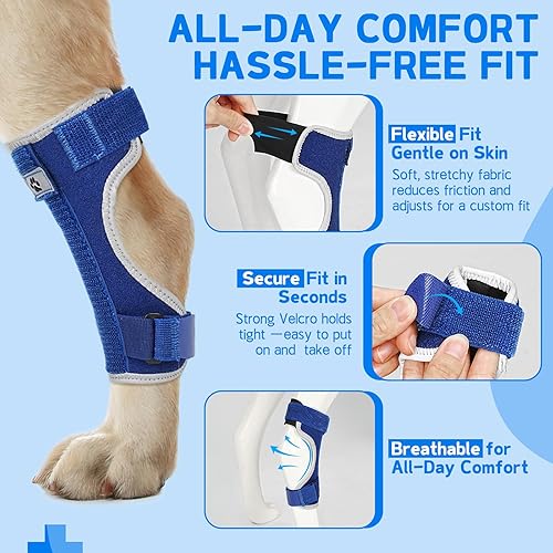 Miniatura 10 de Soporte para piernas de perro, soporte de pierna trasera canina, envoltura de compresión de articulación de cornejo para aliviar el dolor