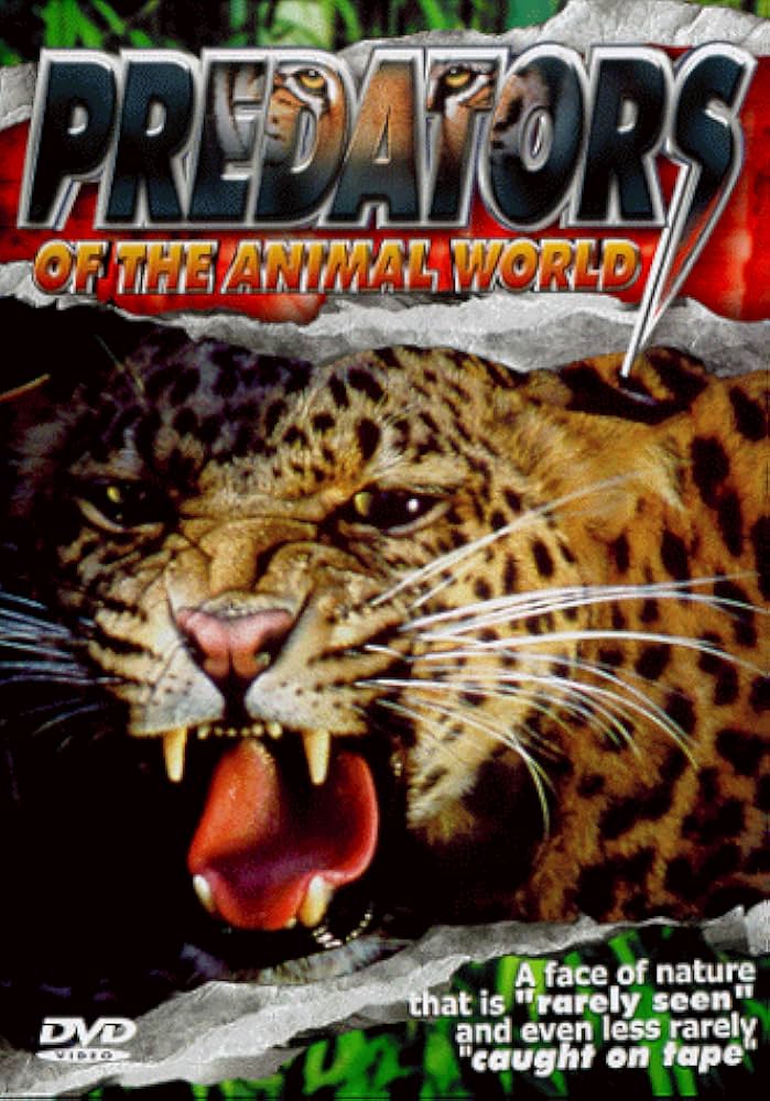 Amazon.com: Predators Of The Animal World [DVD] : Predators
