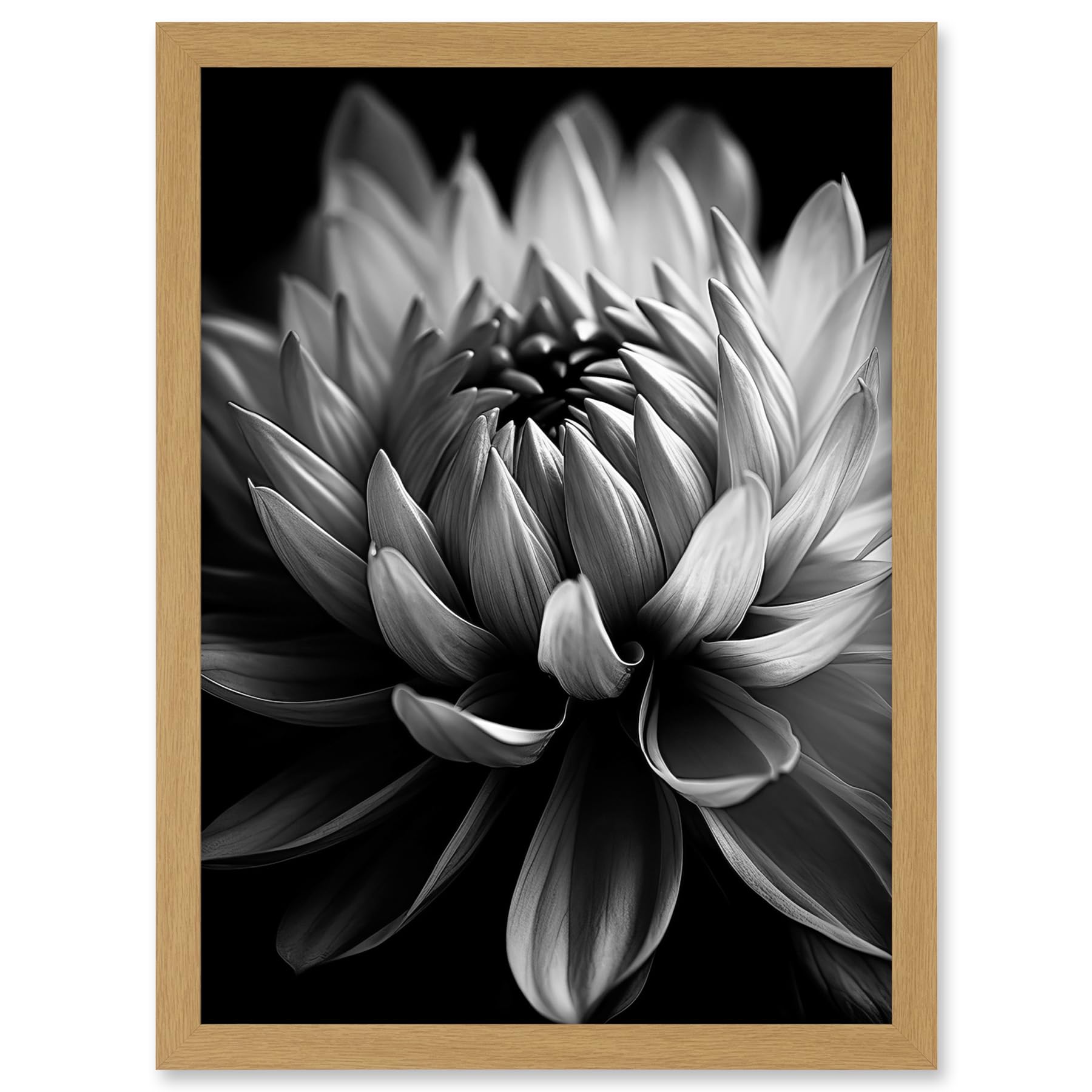 Artery8 Macro Close Up Dahlia Flower Black and White Photo Artwork Framed A3 Wall Art Print